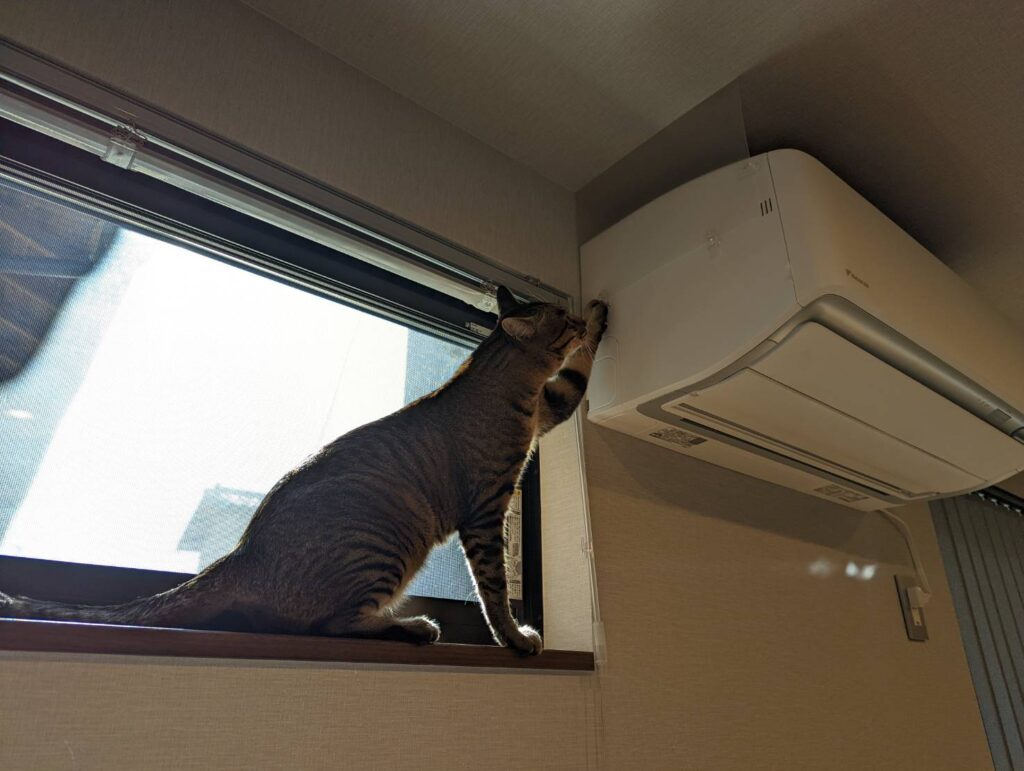 エアコン乗り対策品をチェックする猫
